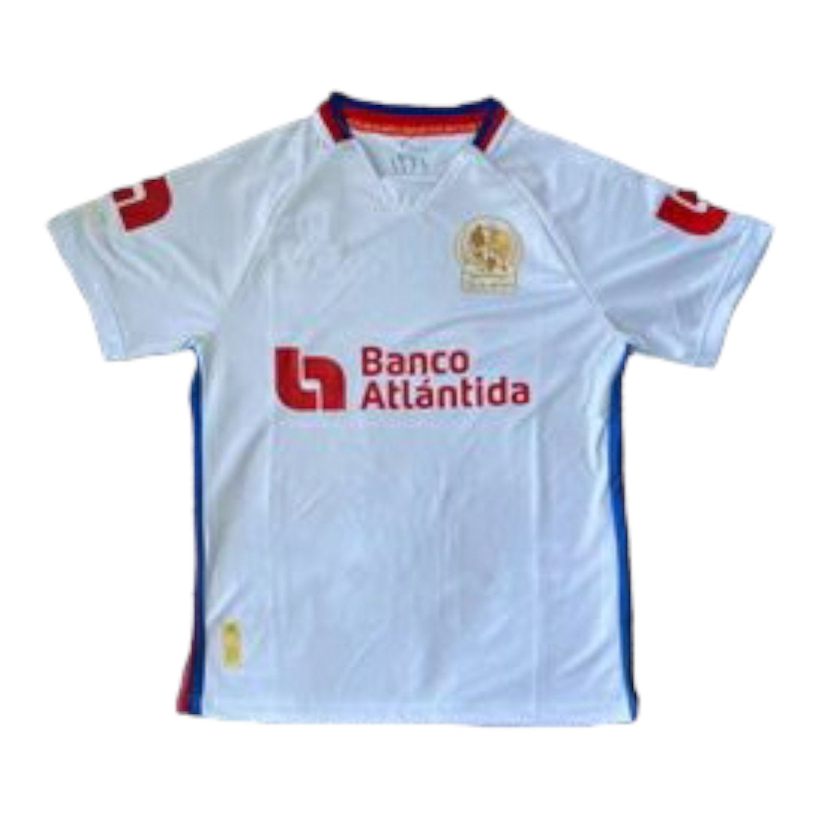 Olimpia Paraguay Vintage  Soccer, Sports, Sports jersey